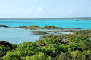 “What are Popular Day Trips in the Turks and Caicos?”