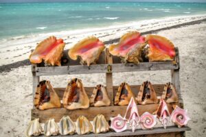 Three Fall Food Festivals in Turks and Caicos