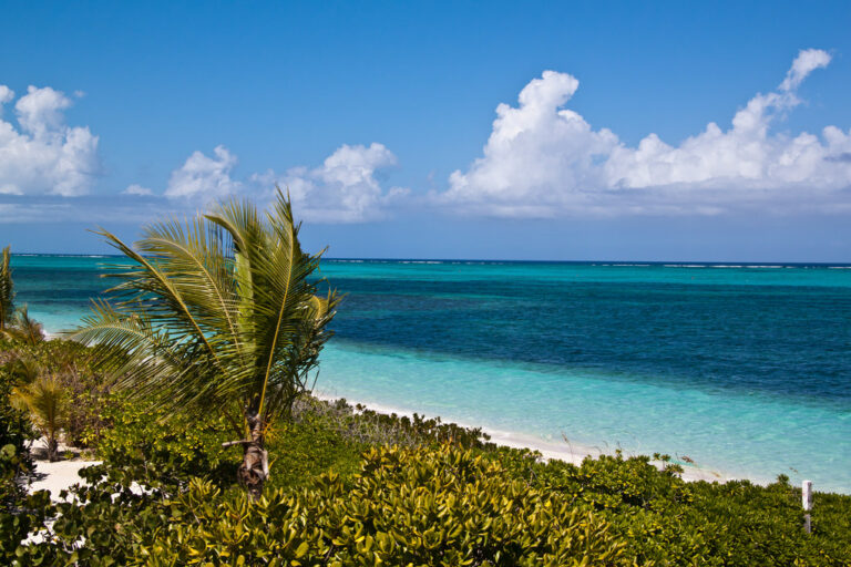 ‘Is It Safe to Touch Coral?’ and Other Questions About the Caribbean