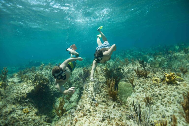 5 Fun Activities In Turks and Caicos