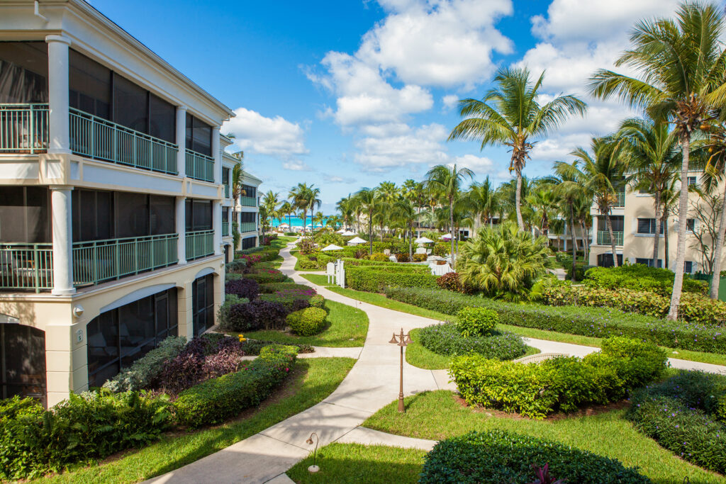 Hotel pathways with greenery taken from balcony