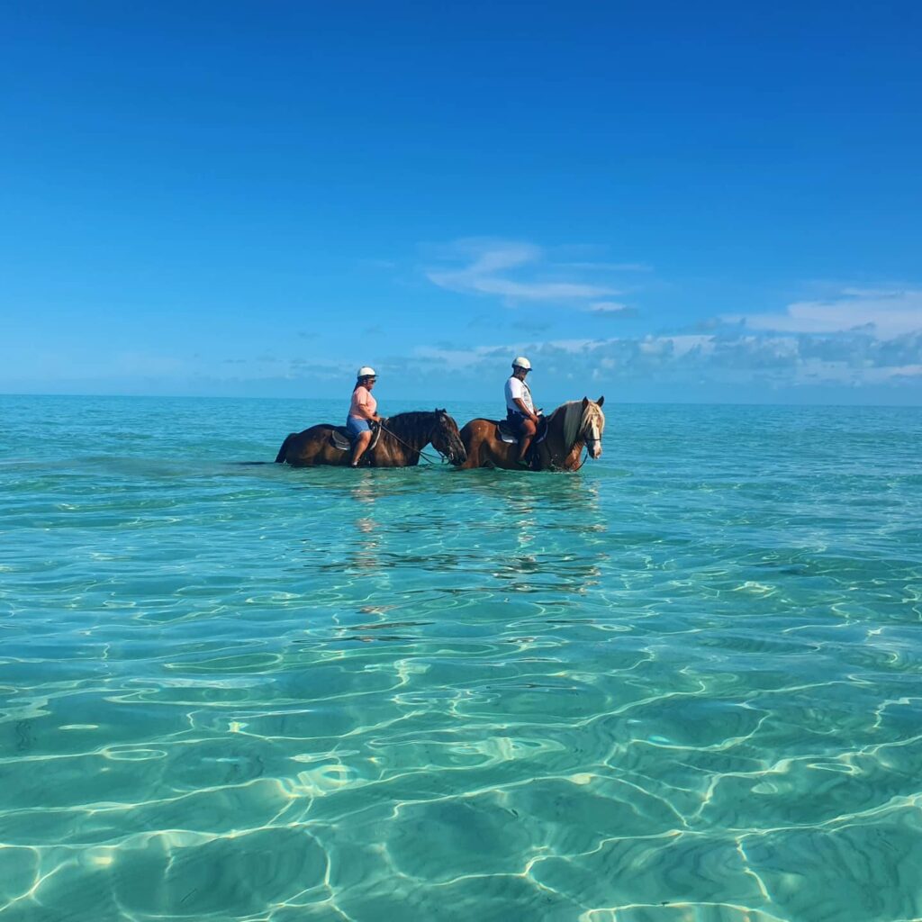 Two people riding horses in the ocean.