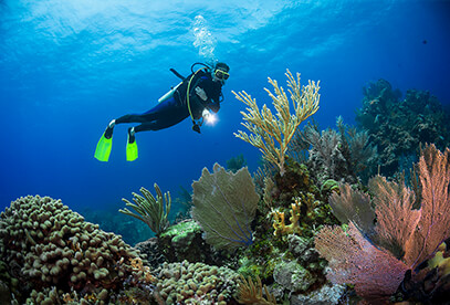 diving