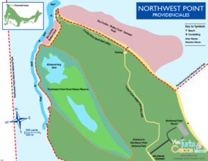 Birdwatching in Providenciales at Northwest Point National Park