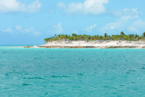 Visit “Iguana Island” On Your Next Turks & Caicos Trip