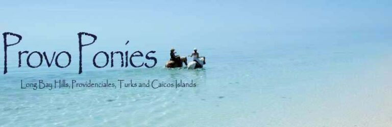 Tips For Having Even More Summer Fun in Turks & Caicos