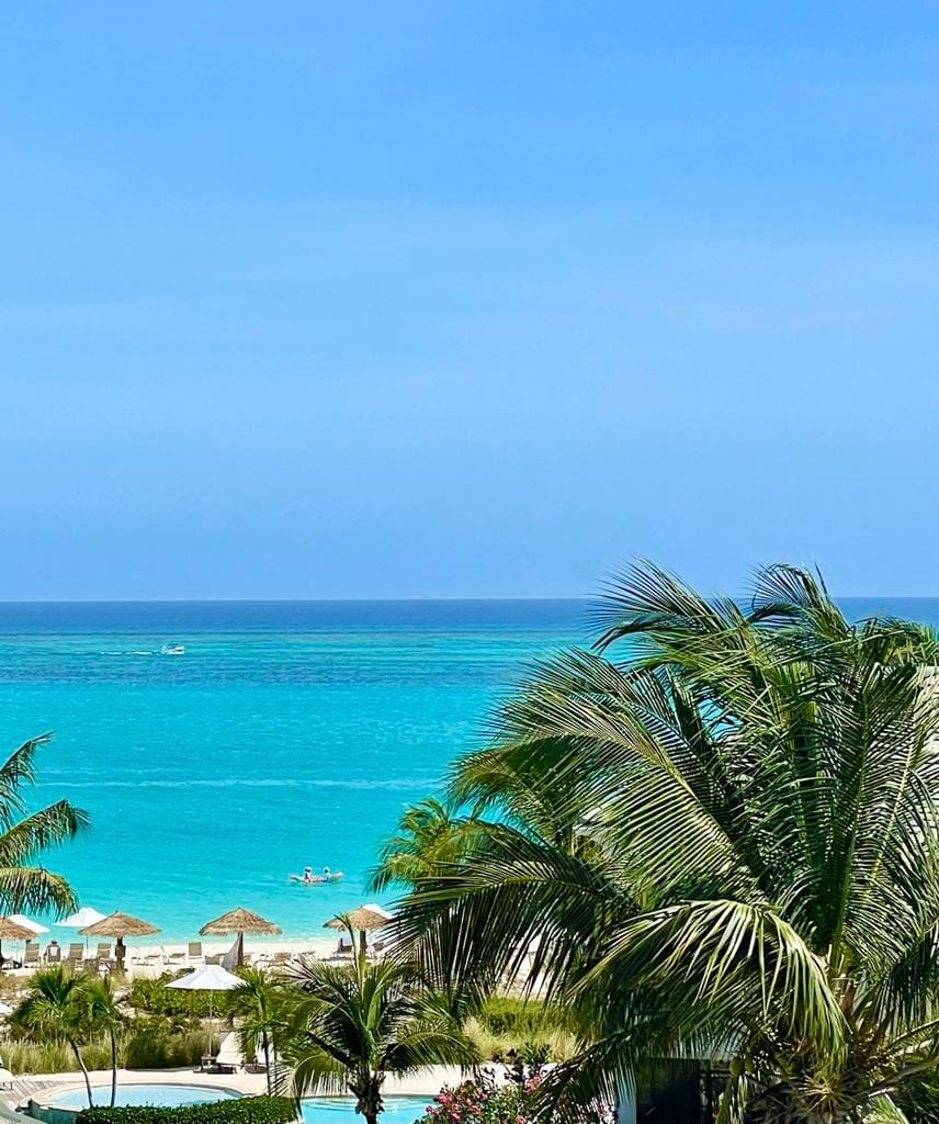 A view of the ocean with a palm tree in the bottom right.
