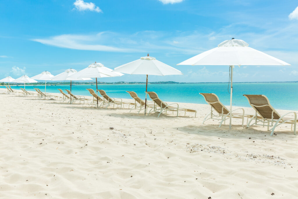 A line of umbrellas with lounge chairs under on the beach with the ocean in the background.