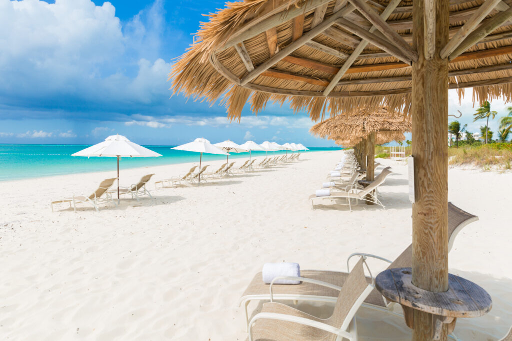 A close up of beach palapas in a row with lounge chairs and umbrellas in front.