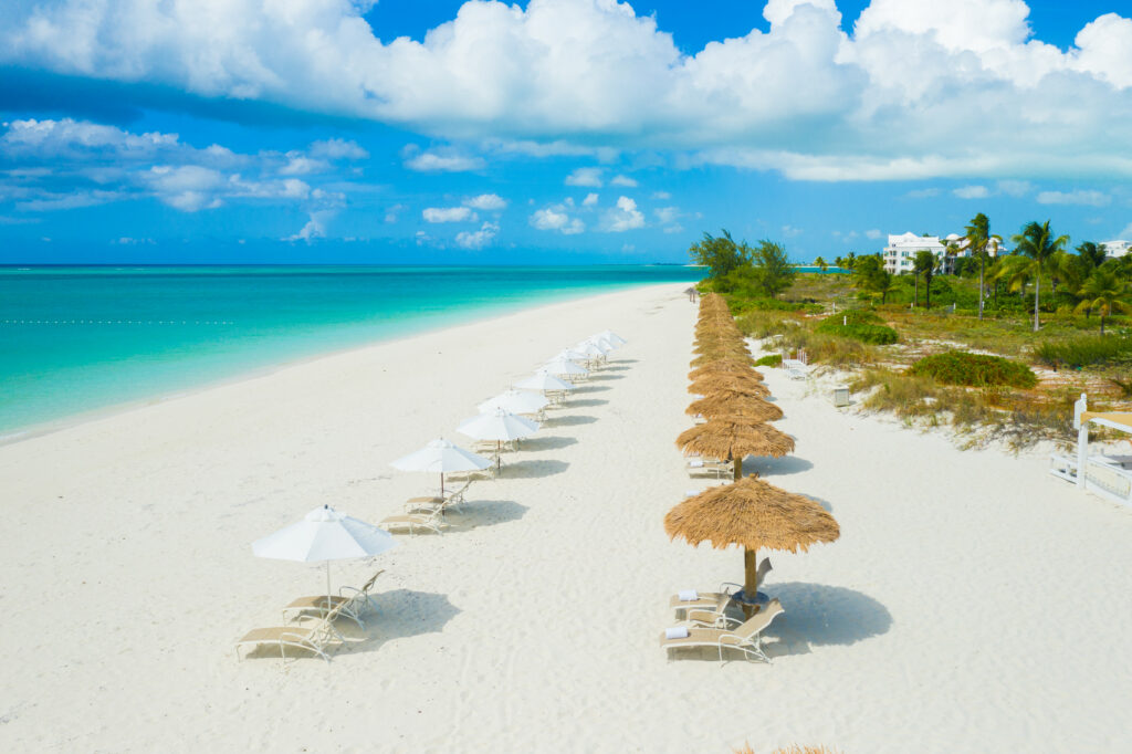 Line of Palapas and Umbrellas on Beach with ocean on the left