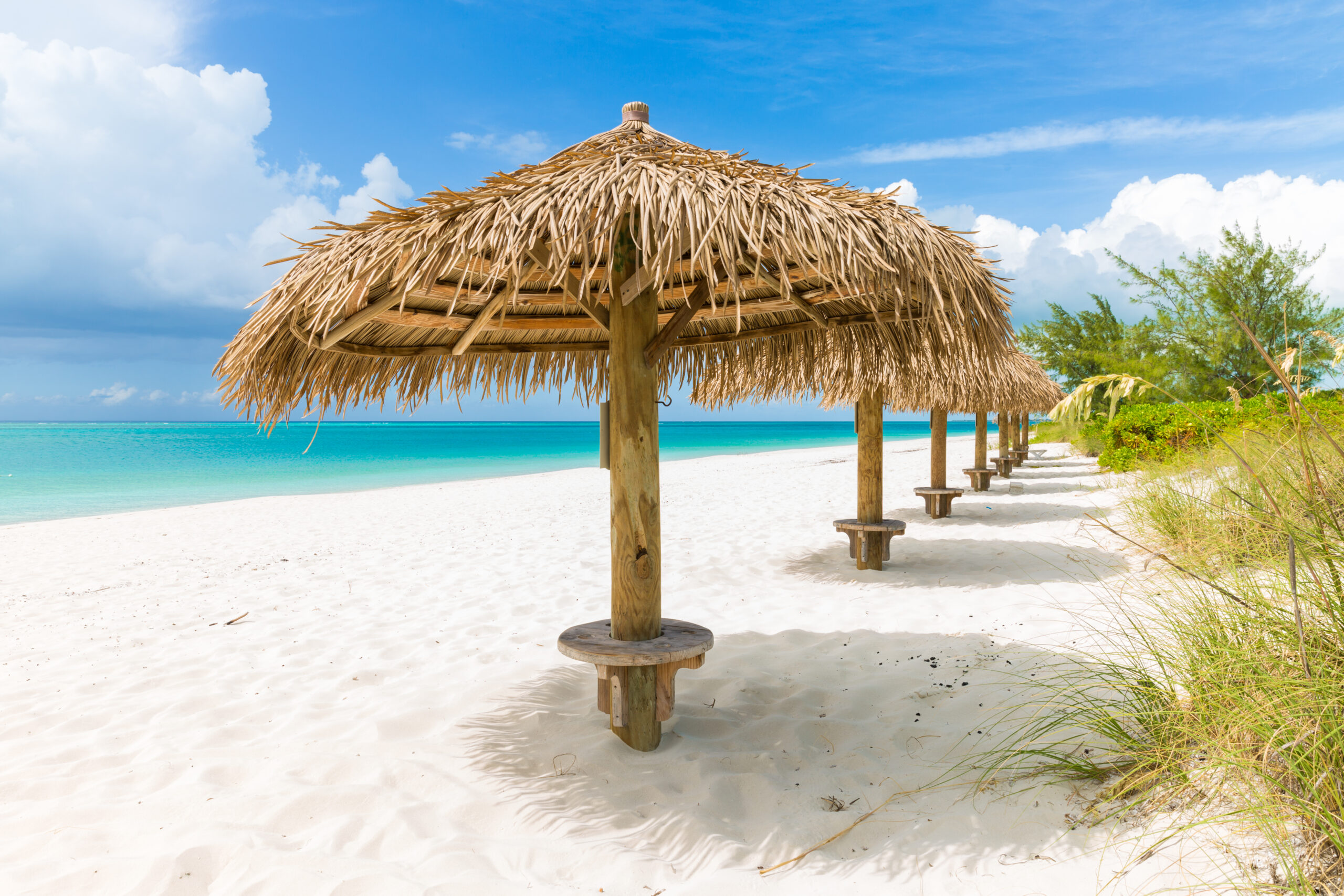 Beach Palapas